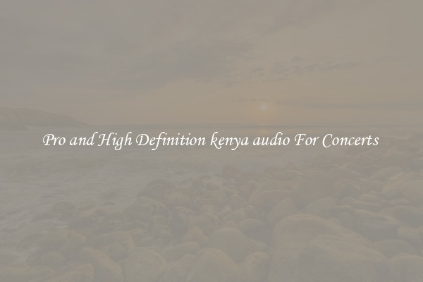 Pro and High Definition kenya audio For Concerts 