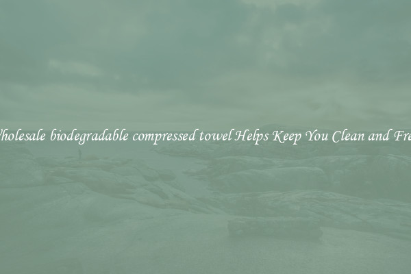 Wholesale biodegradable compressed towel Helps Keep You Clean and Fresh