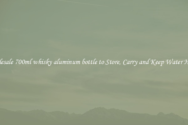 Wholesale 700ml whisky aluminum bottle to Store, Carry and Keep Water Handy