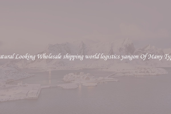 Natural Looking Wholesale shipping world logistics yangon Of Many Types