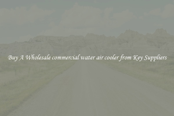 Buy A Wholesale commercial water air cooler from Key Suppliers