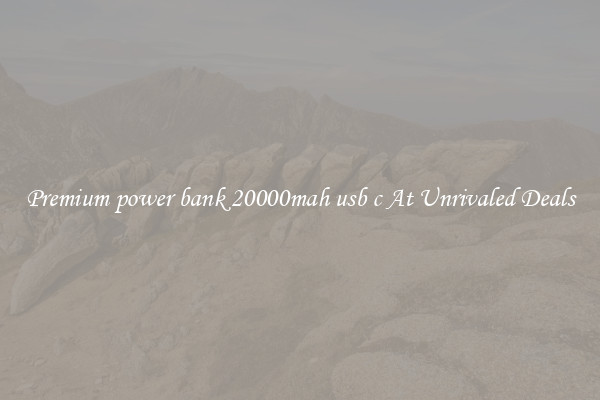Premium power bank 20000mah usb c At Unrivaled Deals