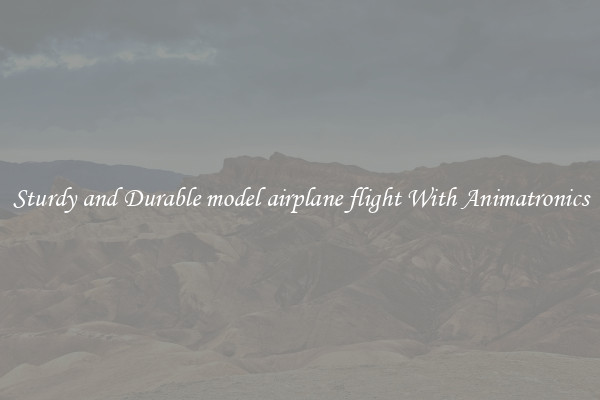 Sturdy and Durable model airplane flight With Animatronics