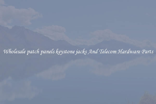 Wholesale patch panels keystone jacks And Telecom Hardware Parts