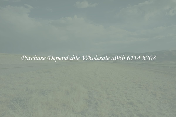 Purchase Dependable Wholesale a06b 6114 h208