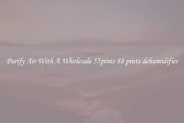 Purify Air With A Wholesale 55pints 88 pints dehumidifier
