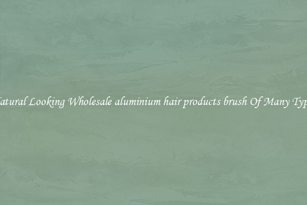 Natural Looking Wholesale aluminium hair products brush Of Many Types