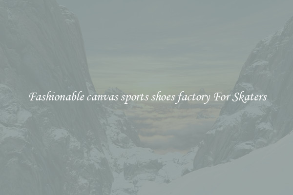 Fashionable canvas sports shoes factory For Skaters