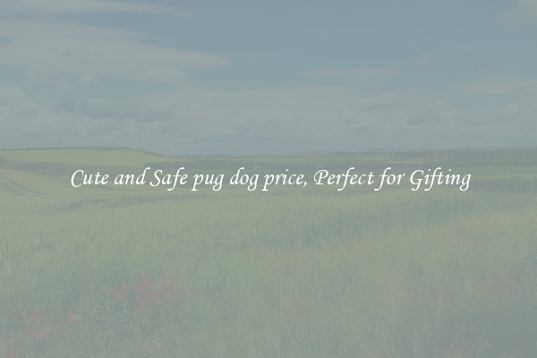 Cute and Safe pug dog price, Perfect for Gifting