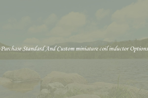 Purchase Standard And Custom miniature coil inductor Options