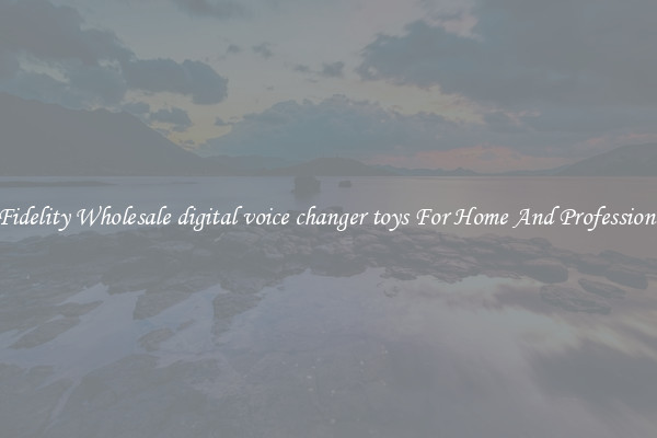 High Fidelity Wholesale digital voice changer toys For Home And Professional Use
