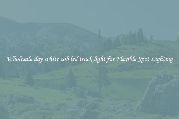 Wholesale day white cob led track light for Flexible Spot Lighting